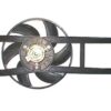 VENTOLA ELETTROVENTOLA FIAT PANDA 2003-2011 1.1 1.2 1.4 CERTIFICATA RHIAG 370818
